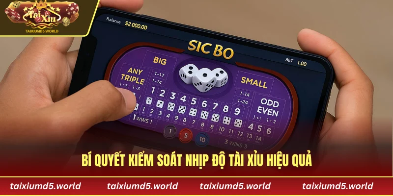 Bí quyết kiểm soát nhịp độ tài xỉu hiệu quả